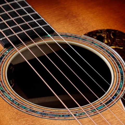 guitarplanet_taylor-m12ce-jpltd